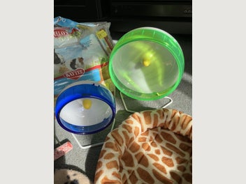 Image 1 of 4