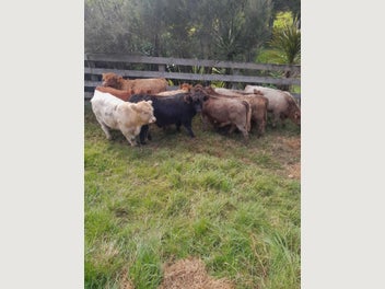 Image 1 of 6
