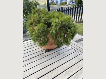Image 1 of 6