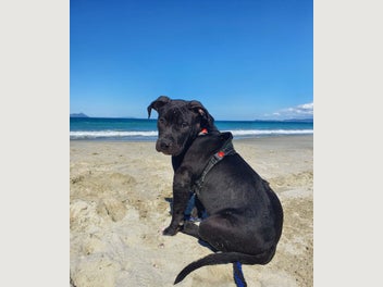 Image 1 of 11