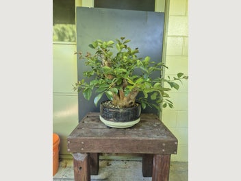 Image 1 of 4