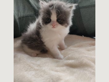 Image 1 of 16