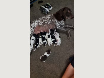 Image 1 of 14