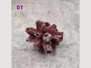 Image 1 of 10