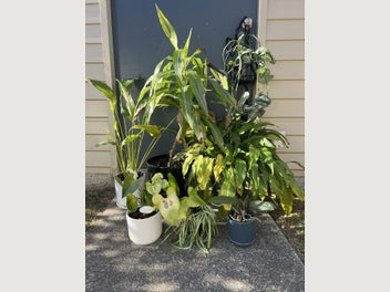 Image 1 of 7