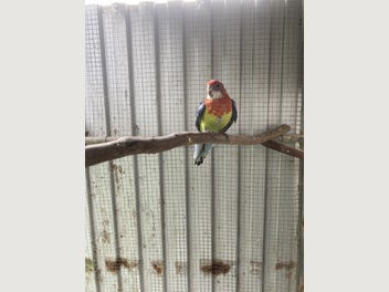 Image 1 of 9