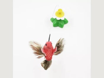Image 1 of 10