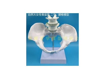 Image 1 of 9