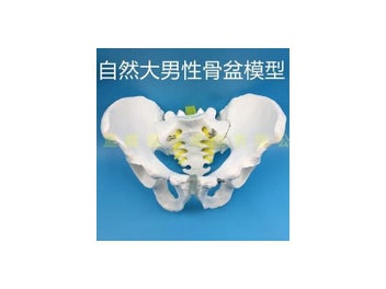 Image 1 of 9