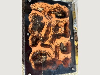 Image 1 of 7