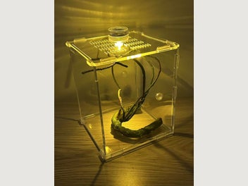 Image 1 of 10