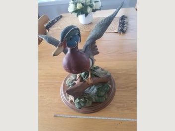 Image 1 of 15