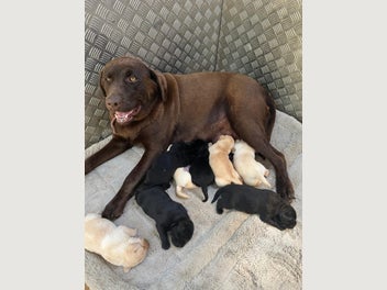 Image 1 of 14