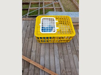 Image 1 of 2