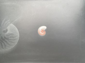 Image 1 of 8