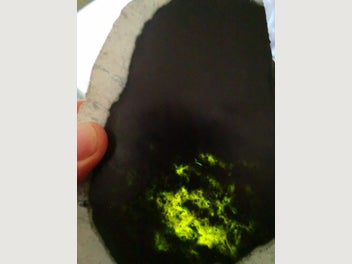 Image 1 of 12