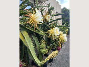 Image 1 of 20