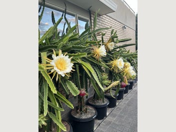 Image 1 of 20