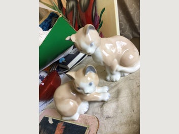 Image 1 of 7