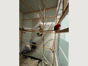 Image 1 of 7