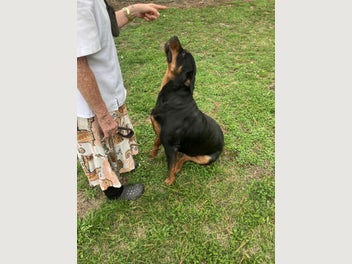 Image 1 of 4