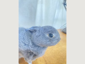 Image 1 of 15