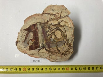 Image 1 of 2