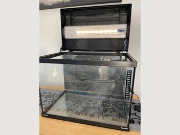 Image 1 of 11