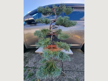Image 1 of 6