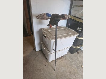 Image 1 of 1