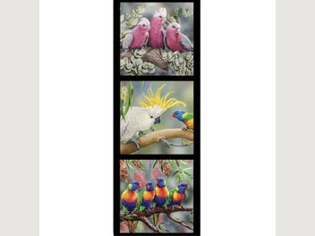 Image 1 of 4