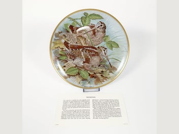 Image 1 of 11