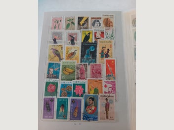 Image 1 of 7