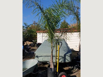 Image 1 of 11