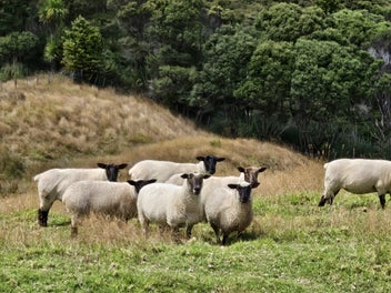 Image 1 of 4