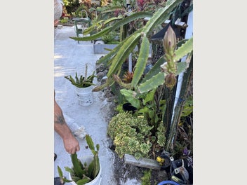 Image 1 of 10