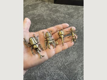 Image 1 of 5