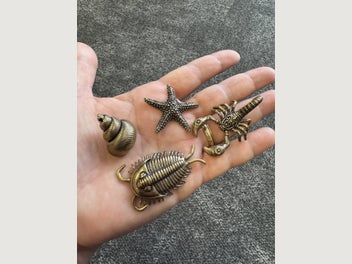 Image 1 of 6