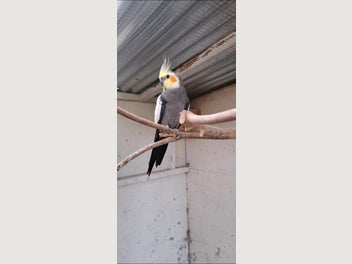 Image 1 of 11