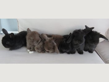 Image 1 of 8