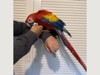 Image 1 of 4