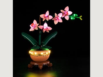 Image 1 of 11