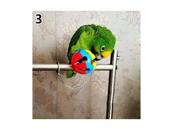 Image 1 of 10
