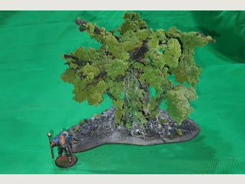 Image 1 of 15