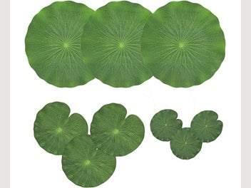 Image 1 of 7