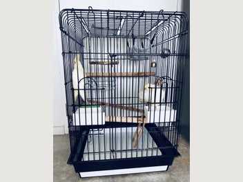 Image 1 of 8
