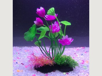 Image 1 of 20