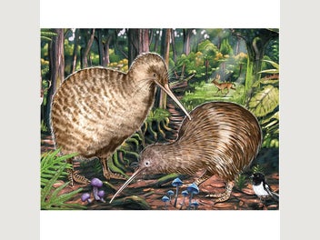 Image 1 of 5