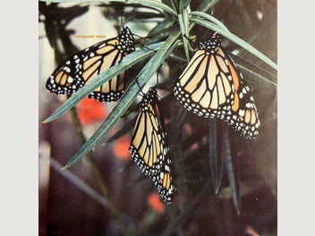 Image 1 of 17