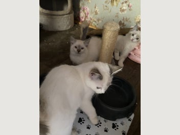 Image 1 of 7